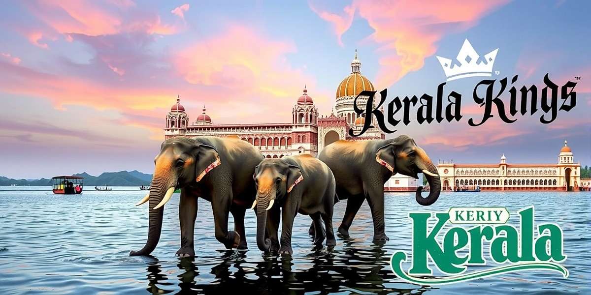 Kerala Kings Official Cover Kerala Kings game cover featuring backwaters, elephants and traditional Kerala architecture